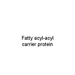 Fatty acyl-acyl carrier protein